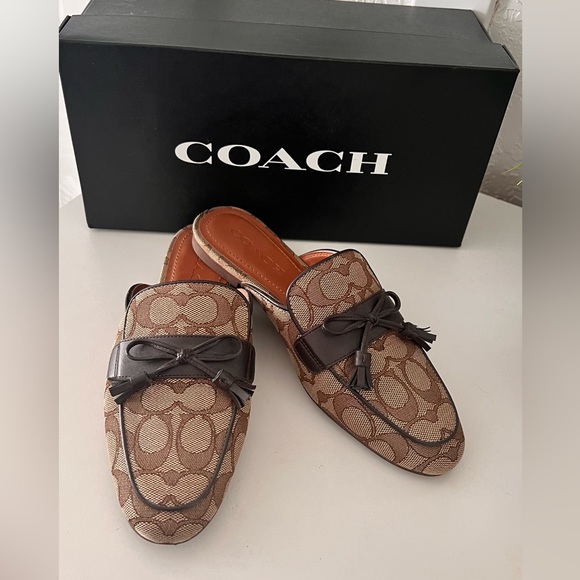 stassi slide coach
